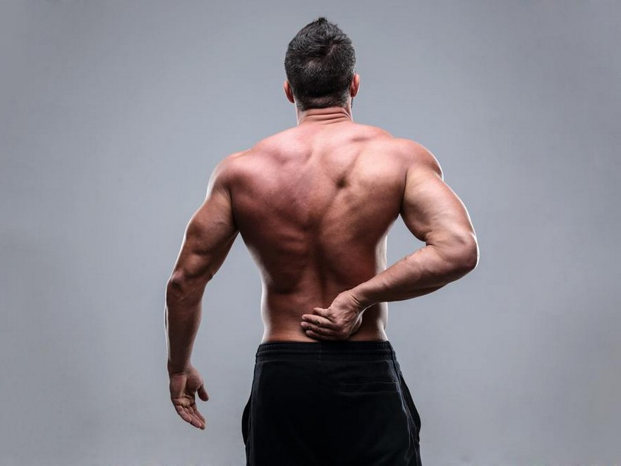 Does Foam Rolling Assist You Construct Muscle?