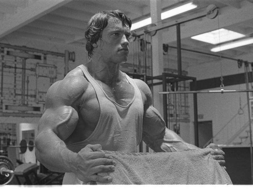  8 Classes From Arnold Schwarzenegger For Private Success