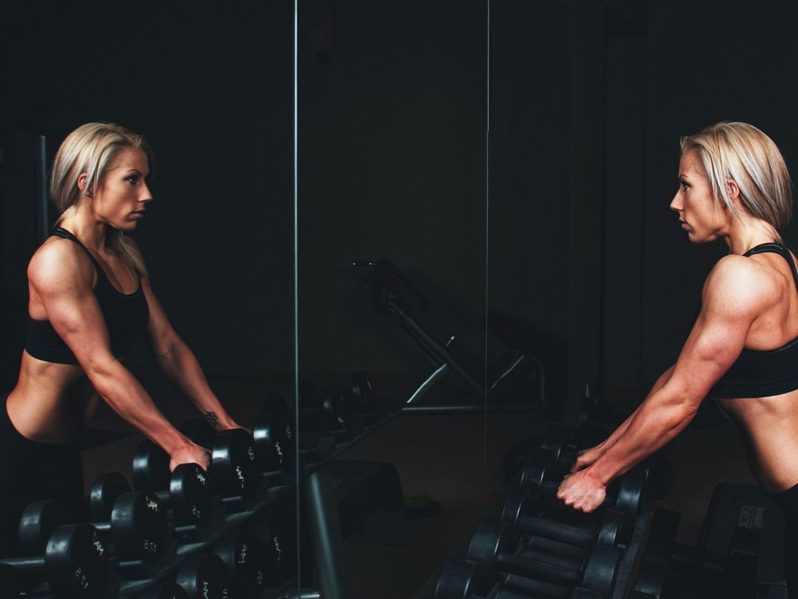  The 6 Rules of Muscle Progress