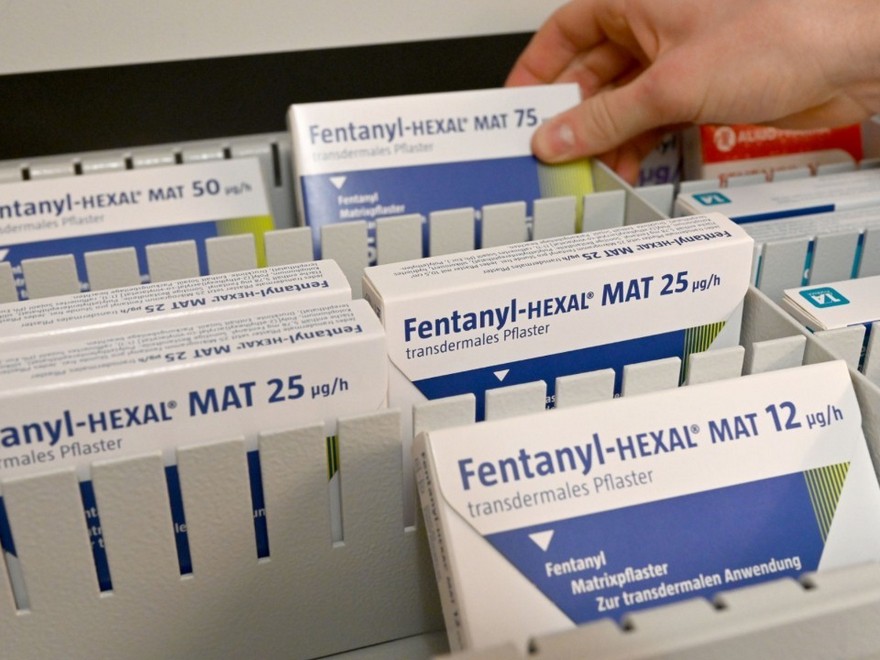  Craig DeRoche: Drug legal guidelines are damaged, however lawmakers have the facility to repair them