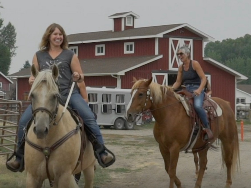 Monetary fallout of COVID-19 hits Montana ranch that helps feminine veterans battle PTSD