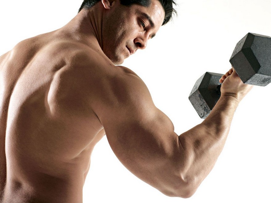 Are You Lifting the Proper Quantity of Weight?