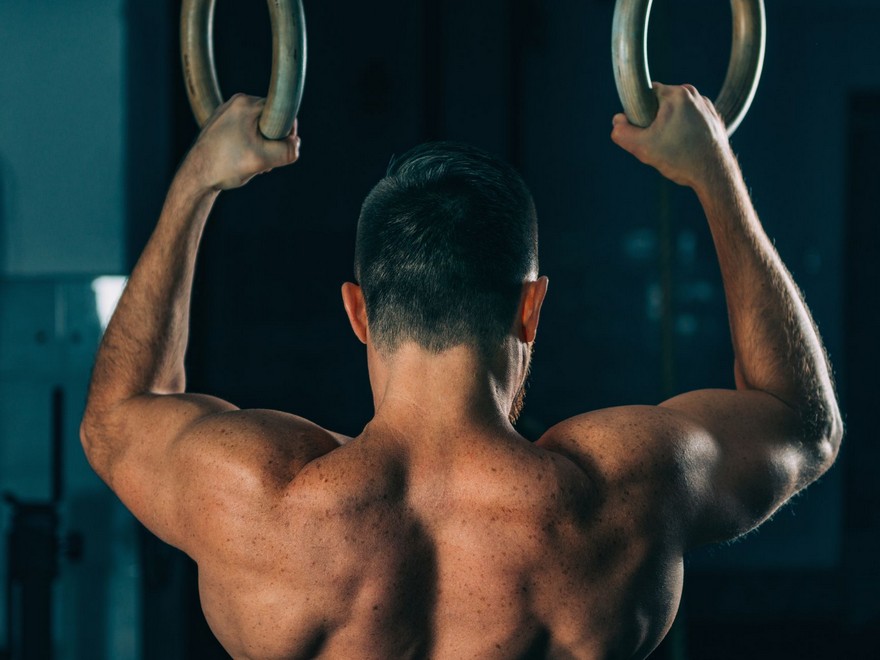 This 2-Transfer Arm Pump Exercise Would not Use Any Weights