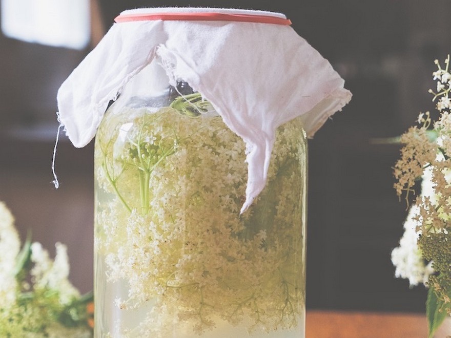  Wild Fermented Elderflower Soda