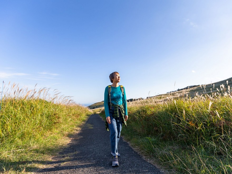  Digital Stroll App Assessment: Stroll the Distance App