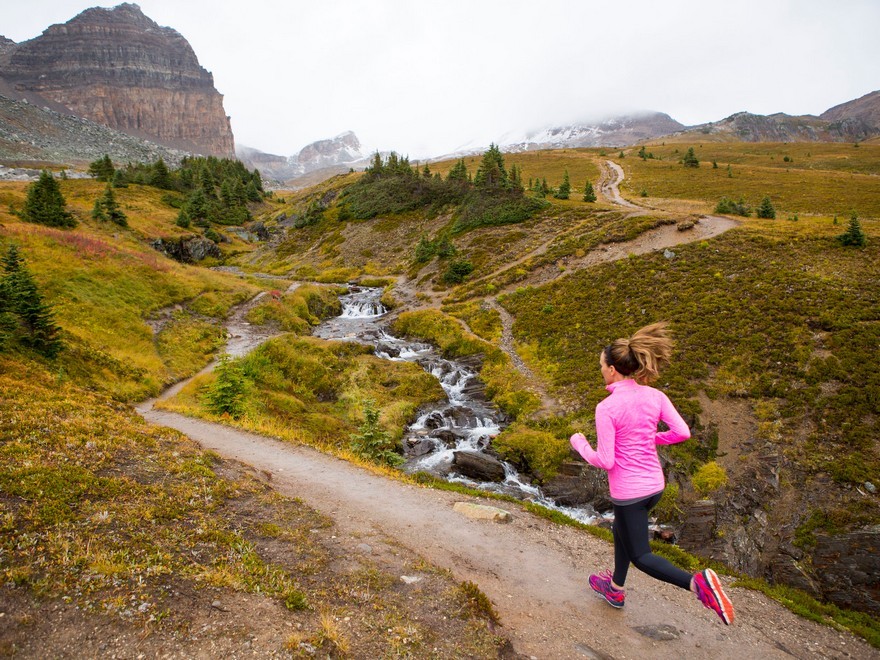  The way to Follow Mindfulness Whereas Working
